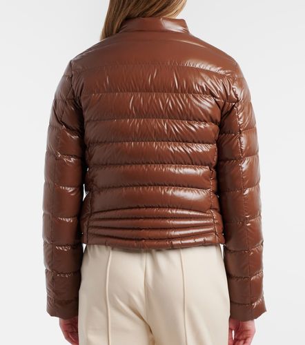 Moncler Papillon down jacket - Moncler - Modalova