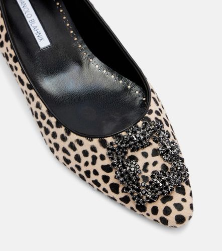 Bailarinas Hangisi de pelo de becerro - Manolo Blahnik - Modalova