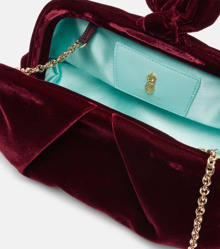 Clutch Bow Tie Small aus Samt - Aquazzura - Modalova