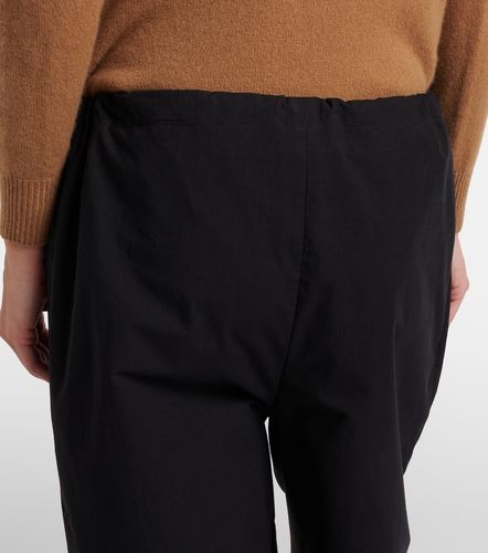 Delano cotton straight pants - The Row - Modalova