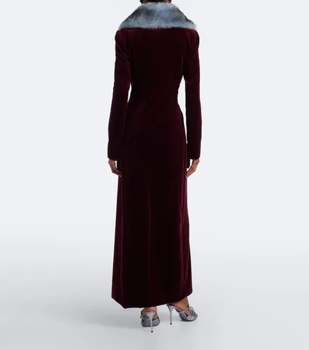 Dolce&Gabbana Cotton velvet coat - Dolce&Gabbana - Modalova