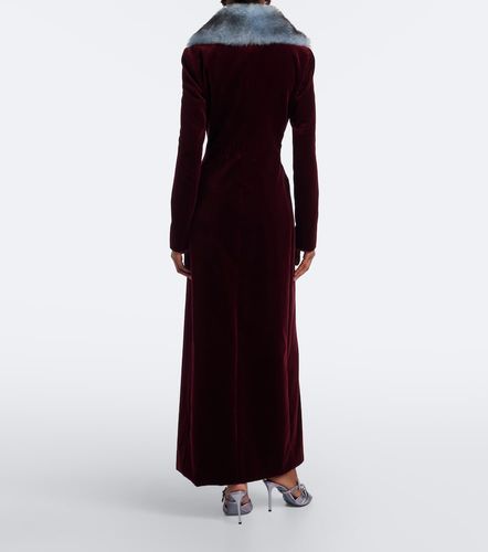 Mantel aus Baumwollsamt - Dolce&Gabbana - Modalova