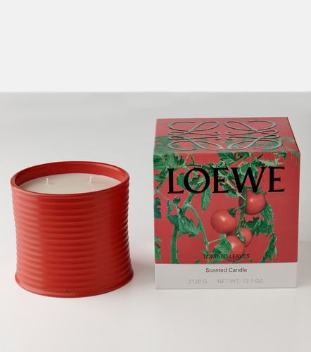 Candela profumata Tomato Leaves grande - Loewe Home Scents - Modalova