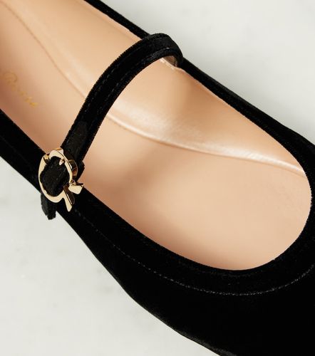 Bailarinas Carla de terciopelo - Gianvito Rossi - Modalova