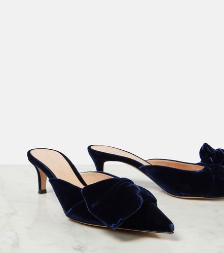 Gianvito Rossi Mules 55 aus Samt - Gianvito Rossi - Modalova