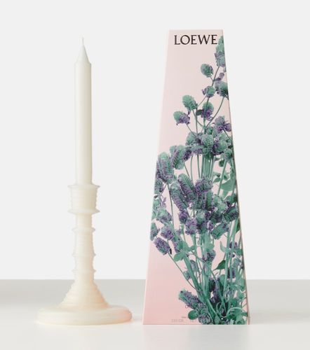 Loewe Home Scents Vela Oregano - Loewe Home Scents - Modalova