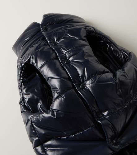 Abrigo para perro Poldo Dog Couture - Moncler - Modalova