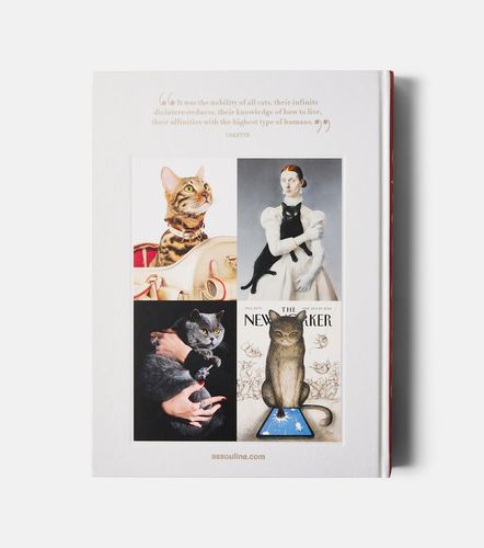 Assouline Libro Chic Cats - Assouline - Modalova