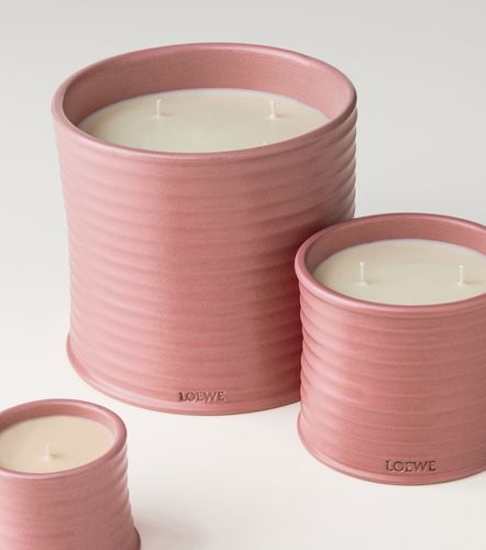 Duftkerze Ivy Small - Loewe Home Scents - Modalova