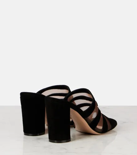 Mules in suede e mesh - Gianvito Rossi - Modalova