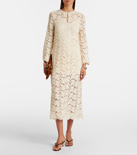 Abito midi Jovie in misto cotone e pizzo - Velvet - Modalova