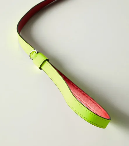 Correa para perro Loubileash de piel - Christian Louboutin - Modalova
