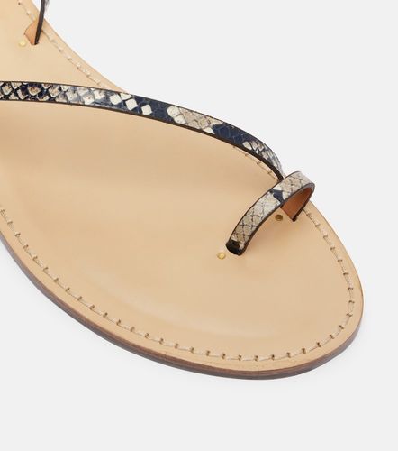 Kalahari snake-effect leather sandals - Amanu - Modalova