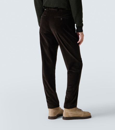 Pantaloni chino in cotone - Loro Piana - Modalova