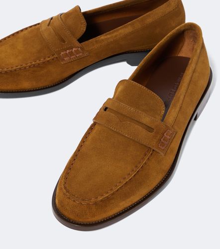 Mocassini Perry in suede - Manolo Blahnik - Modalova