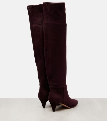 Elise suede knee-high boots - Gianvito Rossi - Modalova
