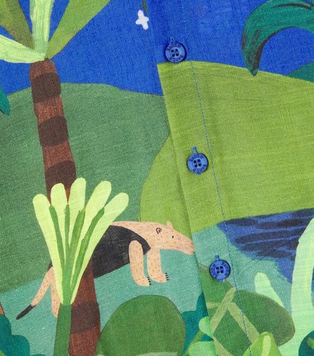 Fábula Camisa Amazonas estampada - Fabula - Modalova
