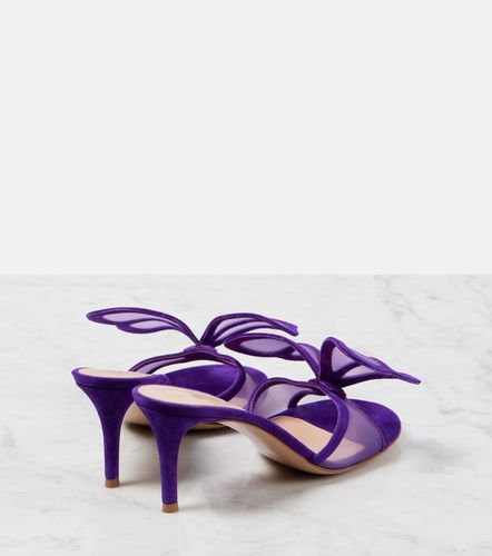 Mules Butterfly 70 in mesh e suede - Gianvito Rossi - Modalova
