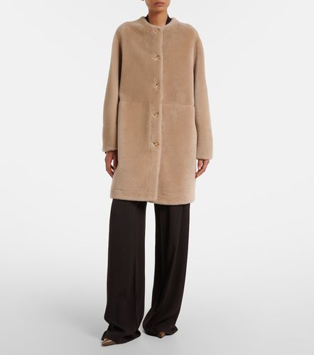 Agnona Jacke aus Shearling - Agnona - Modalova