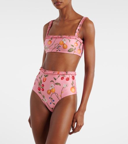 Top de bikini Olmo estampado - Agua by Agua Bendita - Modalova