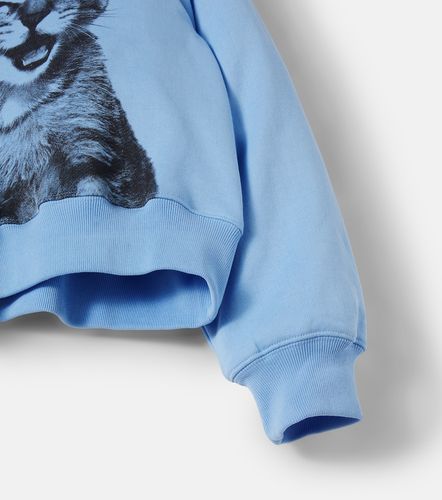 Sudadera Marge de jersey de algodón estampada - Molo - Modalova