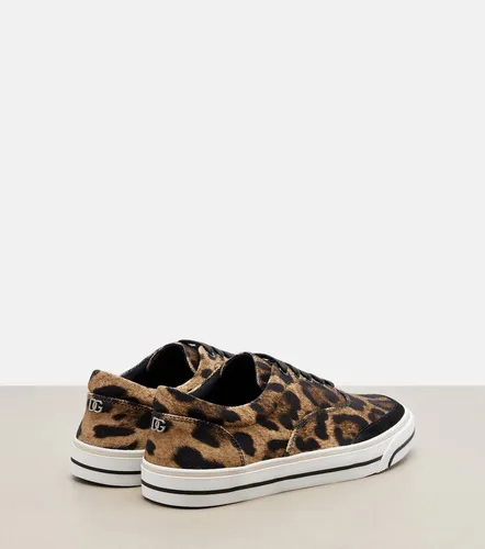 Zapatillas de lona estampadas - Dolce&Gabbana - Modalova