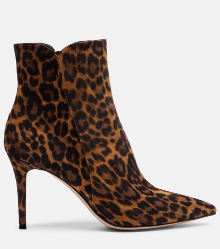 Ankle Boots Levy 85 aus Veloursleder - Gianvito Rossi - Modalova