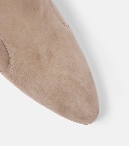 Ankle Boots Myconia 50 aus Veloursleder - Manolo Blahnik - Modalova