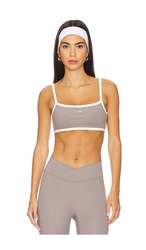 The Micro Bra in Grey. - size L (also in XL) - 437 - Modalova