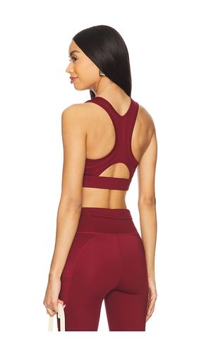 Sculpt Bra in Burgundy. - size L (also in M) - 7 Days Active - Modalova