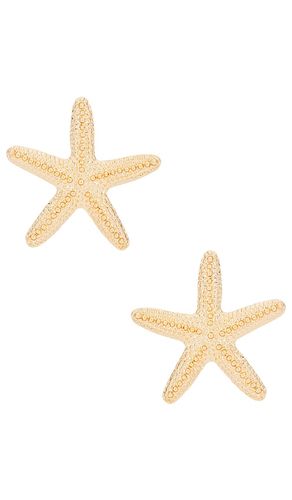 Aqua Starfish Stud Earrings in Metallic - 8 Other Reasons - Modalova