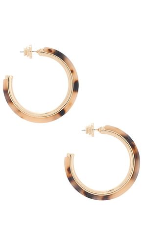 Tyla Acrylic Hoop Earrings in Brown - 8 Other Reasons - Modalova