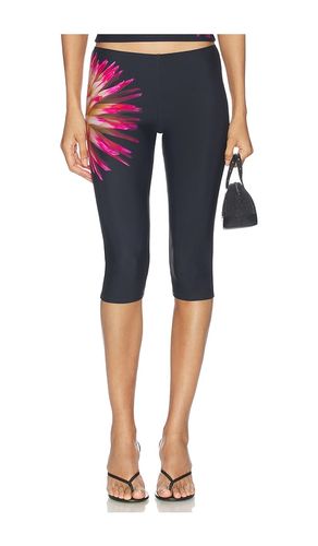 Dhalia Capri in Black. - size S (also in XS) - 1XBLUE - Modalova