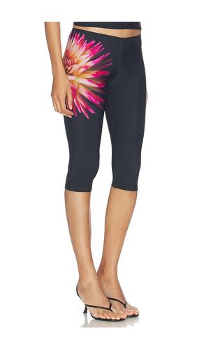 Dhalia Capri in Black. - size S (also in XS) - 1XBLUE - Modalova