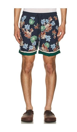 Cece Shorts in . Size 34. Also in 36 - Agua Bendita - Modalova