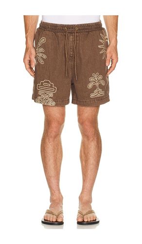 Cece Shorts in . Size 32. Also in 38 - Agua Bendita - Modalova