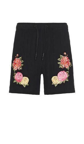 Cece Shorts in . - size 30 (also in 32, 34, 36) - Agua Bendita - Modalova