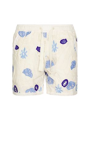 Maury Shorts in . - size 30 (also in 32, 34, 36, 38) - Agua Bendita - Modalova