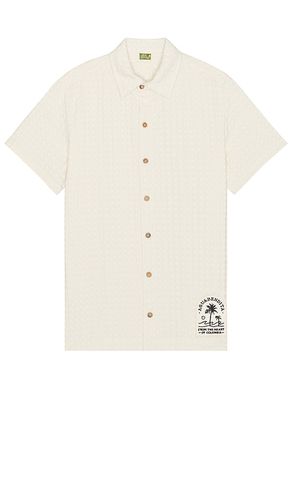 Jack Cipres Shirt in Cream. - size L (also in M, S, XL) - Agua Bendita - Modalova