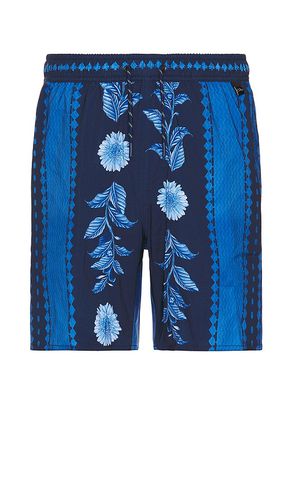 Joe Jardim Trunk in Blue. - size 30 (also in 32, 34, 36) - Agua Bendita - Modalova