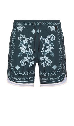 Liam Trunk in . - size 30 (also in 32, 34, 36) - Agua Bendita - Modalova