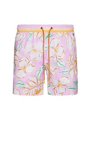 Joe Swim Trunks in Lavender. - size 32 (also in 34, 36, 38) - Agua Bendita - Modalova