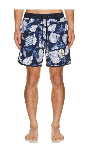 BOXER-SHORTS in . Größe 30. Also in 32, 34 - Agua Bendita - Modalova