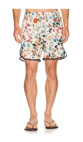 Liam Trunks in . Taglia 30. Also in 32, 34, 38 - Agua Bendita - Modalova