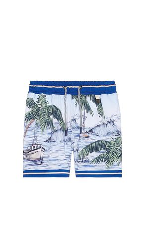 Nick Kai Shorts in Baby Blue. - size 2 (also in 6) - Agua Bendita - Modalova