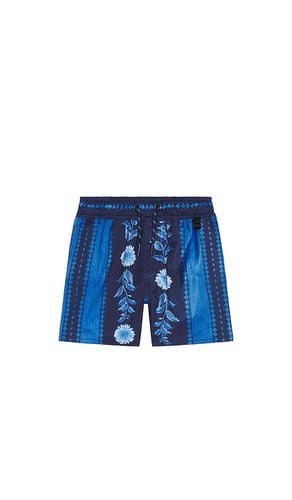 Nick Jardim Shorts in Blue. - size 4 (also in 6) - Agua Bendita - Modalova