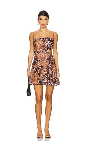 X REVOLVE Cade Mini Dress in Brown. - size L (also in M, S, XL, XS) - Agua Bendita - Modalova