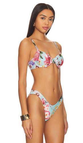 X REVOLVE Karin Underwire Top in Baby Blue. - size S (also in L) - Agua Bendita - Modalova