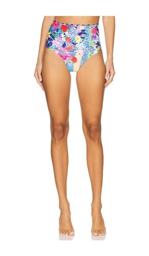 Alicia Vessel Bikini Bottom in Multi. - size L (also in M) - Agua Bendita - Modalova