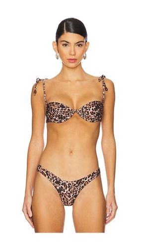 X REVOLVE Donna Bikini Top in Brown. - size L (also in M, S) - Agua Bendita - Modalova